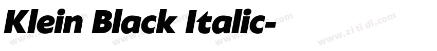 Klein Black Italic字体转换 Klein Black Italic字体转换